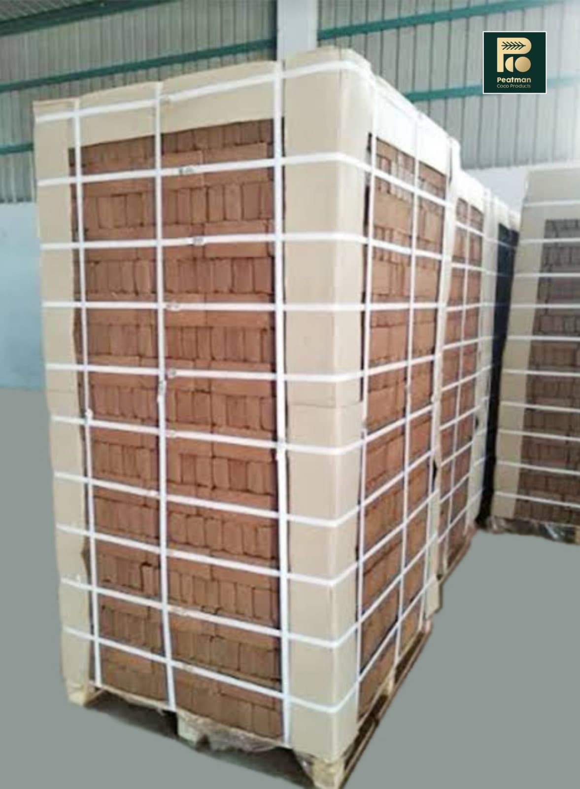 Packaging & Export